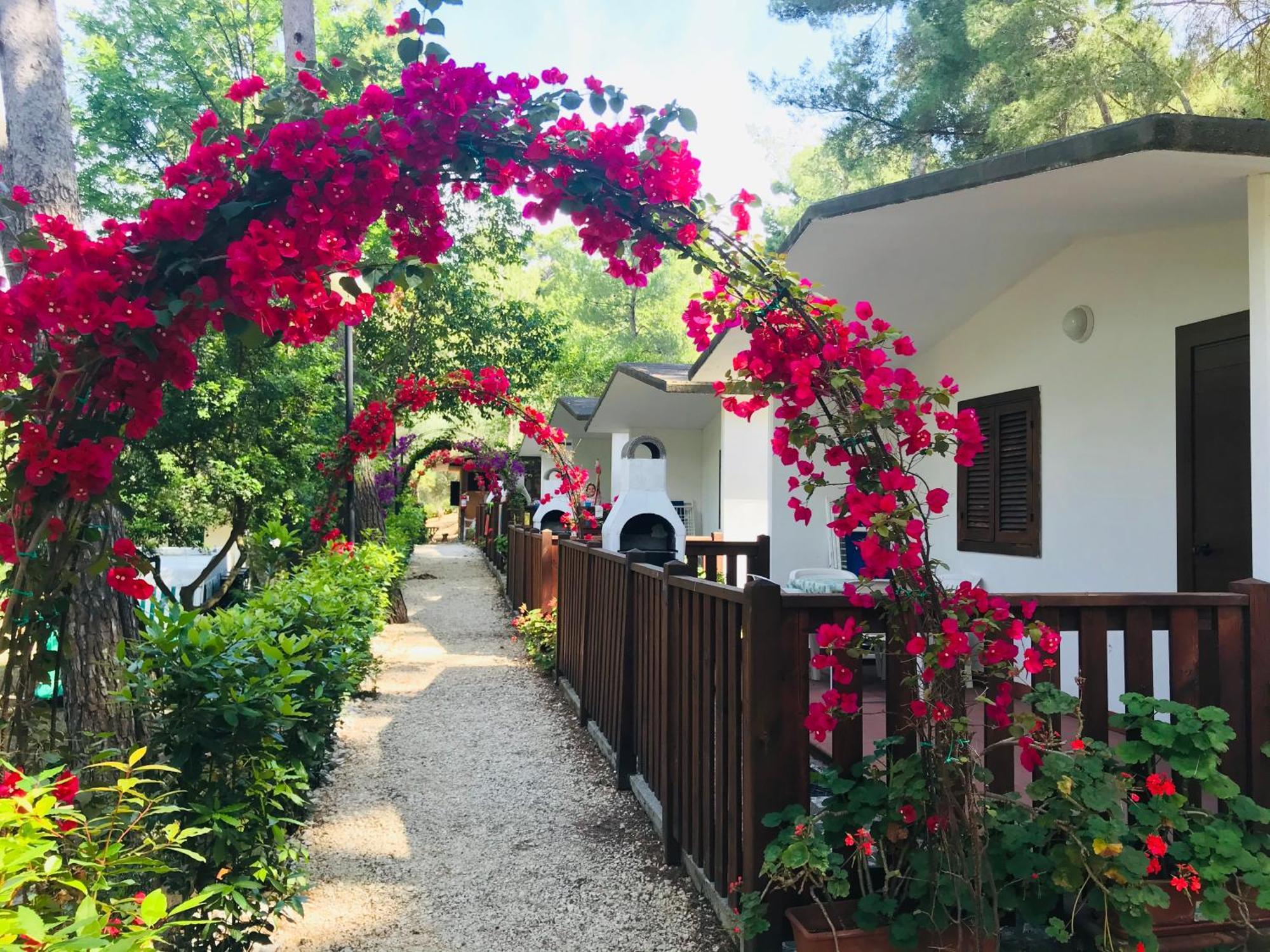 Villaggio Internazionale 4*
