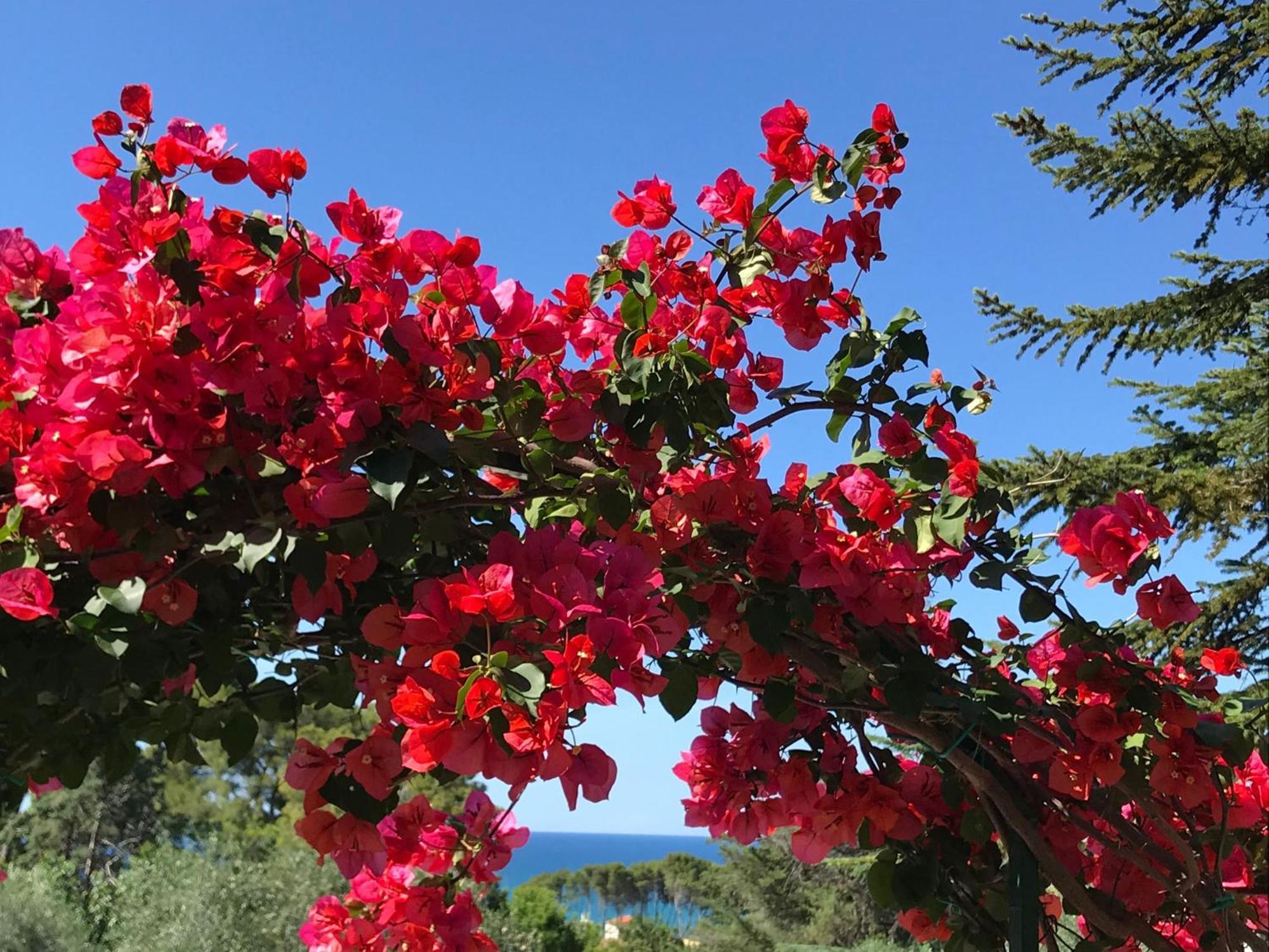 Campingplatz Villaggio Internazionale