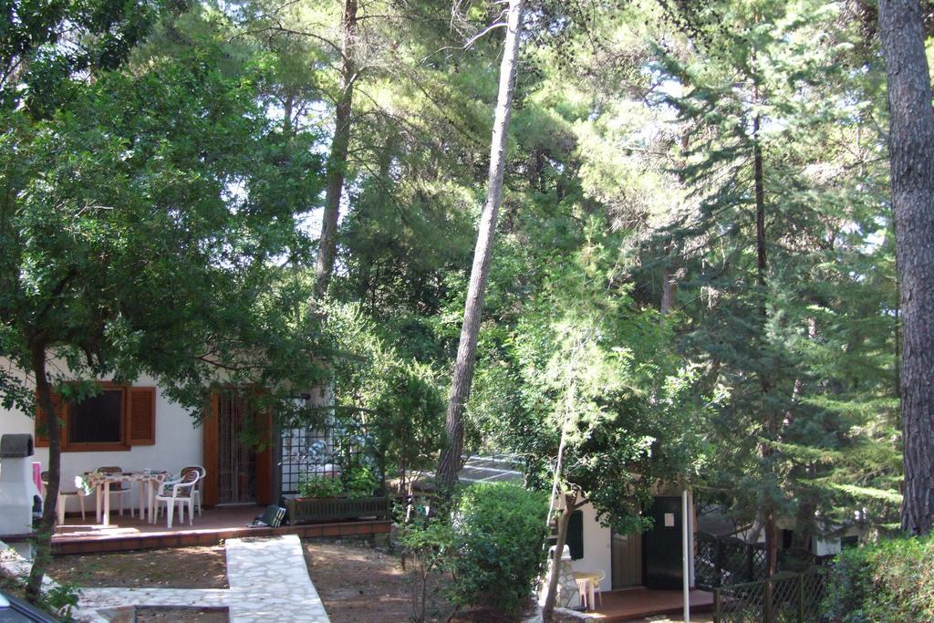 Campingplatz Villaggio Internazionale San Menaio