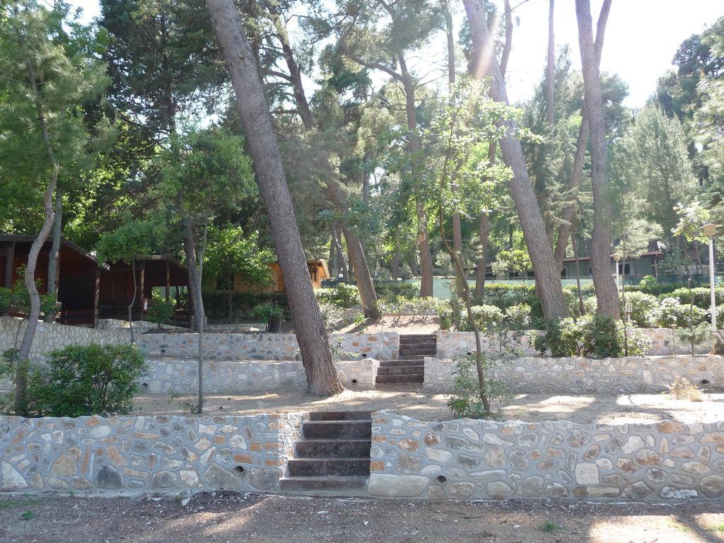 Villaggio Internazionale Campingplatz 4*