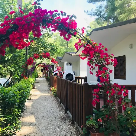 Camping Villaggio Internazionale San Menaio Exterior photo