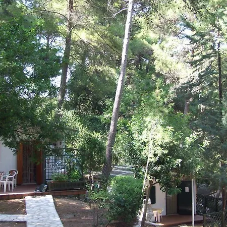 Camping Villaggio Internazionale San Menaio Room photo