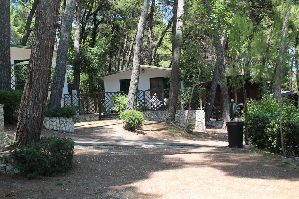 Villaggio Internazionale
