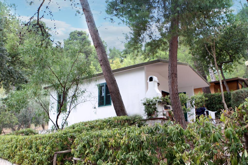 Villaggio Internazionale San Menaio